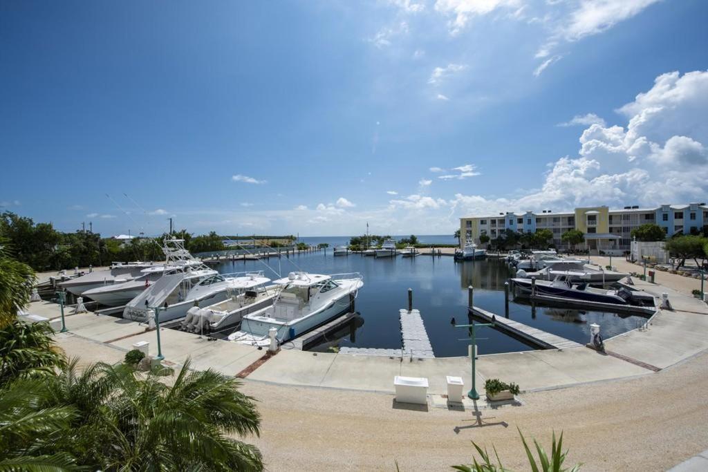 Licensed Mgr - Luxury Vip Penthouse Suite - Offers Resorts Best Panoramic Ocean Views! Cayo Largo Exterior foto